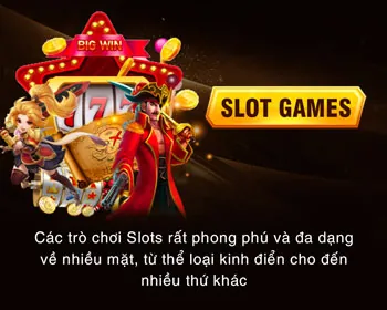 Cá cược Thể Thao fan vip
