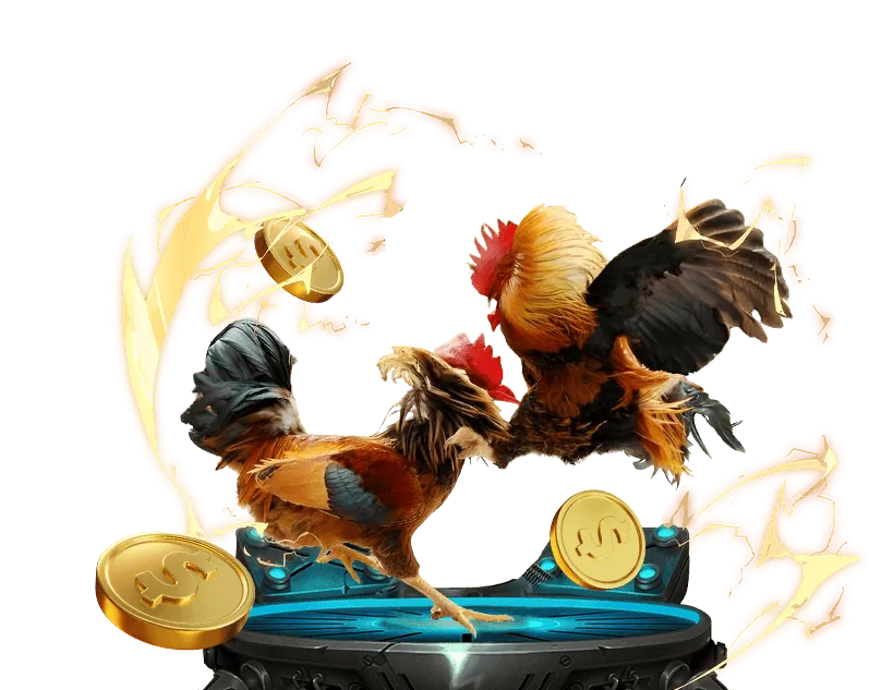 Hình ảnh giới thiệu thương hiệu Fan VIP